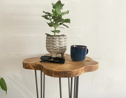 Foret small rustic flower live - foret,